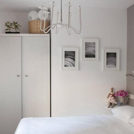 El Jardi De L'Avet Bed and Breakfast Lleida Eksteriør billede
